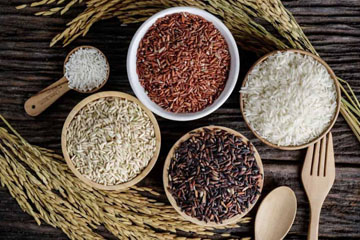 [Giải đáp] 1 chén cơm gạo lứt chứa bao nhiêu calo